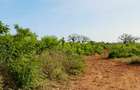 Land in Diani - 6