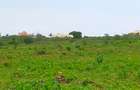 Land at Utalii - Vipingo - 2