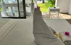 4 Bed House with En Suite in Diani - 9