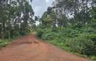 0.125 ac Land in Banana - 4