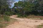1,000 m² Residential Land at Vipingo - Kuruwitu - 17