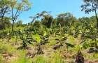 Land at Msambweni - 1