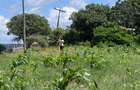 505 m² Land at Mavueni - 14