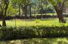 Residential Land in Karen - 5
