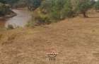 88 ac Land at Ol Choro Conservancy - 11