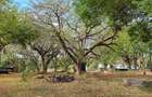 1.87 ac Commercial Land at Serena Mombasa - 2