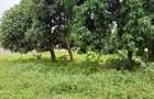 Land at Mtwapa - 15