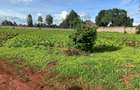 25 ac Land in Kitisuru - 6
