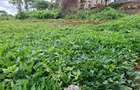 0.25 ac Land in Runda - 8