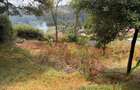 0.25 ac Land in Nyeri - 10