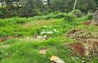 Residential Land at Kitisuru Road - 8