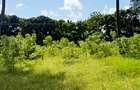 Land at Mtwapa - 9