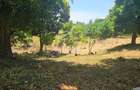 5 ac Land at Utange - 9