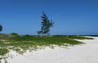 Land in Kilifi - 3