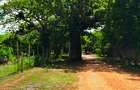 16,187.44 m² Land at Kilifi Bofa Beach Road - 9