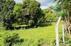 Land at Mtwapa - 5