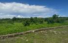 Land in Vipingo - 15