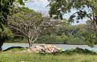 7 ac Commercial Land at Shanzu Beach - Overlooking Mtwapa Creek - 3