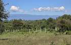 30,000 m² Residential Land at Aistrip - 4