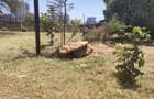2.5 ac Land at Ngong Road - 6