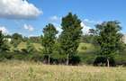 Land at Along Southern Bypass - 2