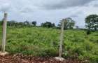 505 m² Residential Land at Galu Road - 9