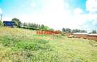 0.25 ha Commercial Land at Ondiri - 4