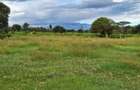 5 ac Residential Land at Nanyuki - 16