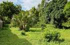 Land at Mtwapa - 4