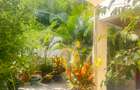4 Bed Townhouse with En Suite in Spring Valley - 18