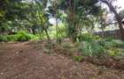 Land in Hurlingham - 13