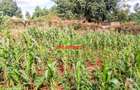 0.125 ac Commercial Land at Kikuyu - 6