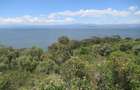 Land at Moi North Lake Rd - 5