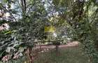 4 Bed Apartment in Riverside - 20