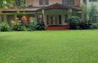 5 Bed Townhouse with En Suite in Rosslyn - 15