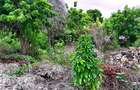 2,010 m² Residential Land at Second Row Kuruwitu Beach - 11