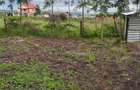 0.125 ac Residential Land at Kitengela Milimani - 19
