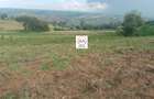 10 ac Land at Enabelbel - 4