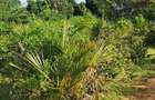 Land at Tiwi Near Diani South Coast - 12