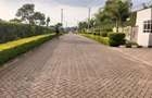Land in Runda - 13