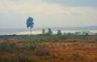 Land in Gilgil - 1