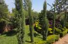 4 Bed House with En Suite in Syokimau - 19