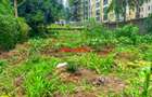 0.0334 ha Commercial Land at Kabete - 5