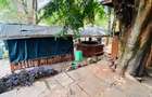 1 ac Land at Banana Raini Road - 11