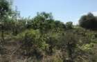 3.1 ac Land at Off Diani Link Rd - 8