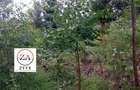 0.125 ac Land at Kasphat Estate - 13