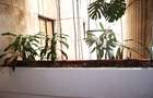 3 Bed Apartment with En Suite in Westlands Area - 17