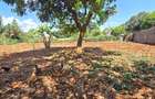 Residential Land at Flem Tree - 11