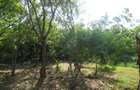 Land at Off Diani Beach Rd - 3