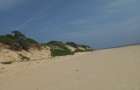 Land in Malindi - 8